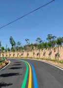 蘇州道路劃線反光漆多少錢一個(gè)平方？